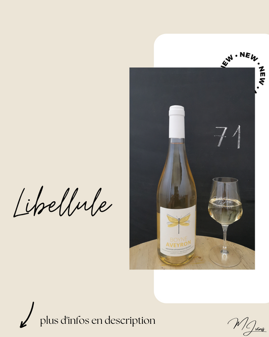 Libellule