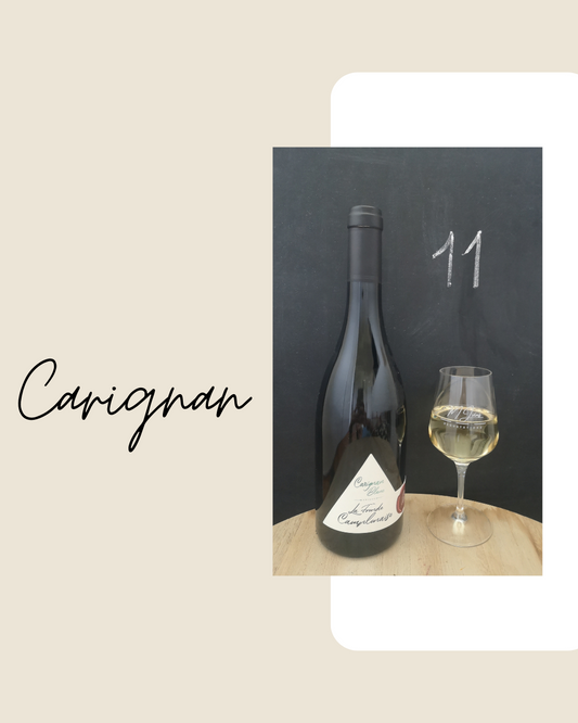 Carignan blanc